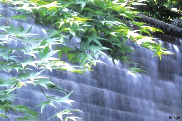 コンセプトイメージ｜南青山テラス 常盤松フォレスト