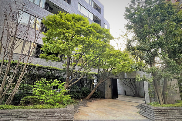 青山エントランス｜南青山テラス　常盤松フォレスト