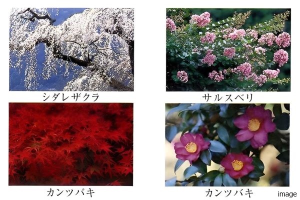 ランドスケープ｜南青山テラス　常盤松フォレスト