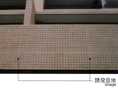 構造｜南青山テラス　常盤松フォレスト